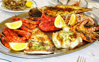 Spanish Tapas & Island Flavors- Las Palmas (Gran Canaria)